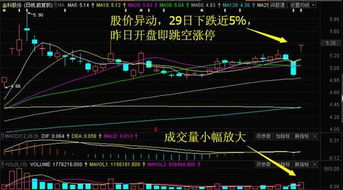 中信重工與掌趣科技逆市上漲，今日重點關注這三只互聯網概念股